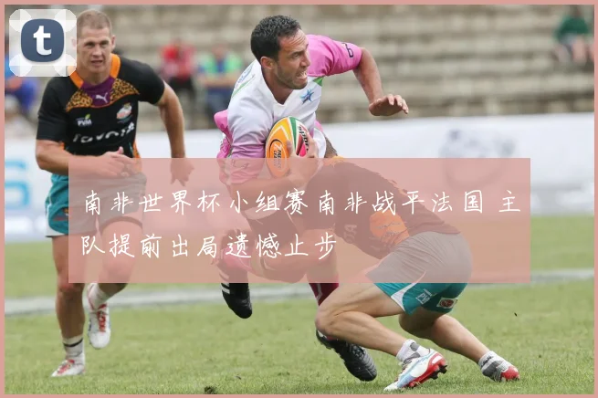 南非世界杯小组赛南非战平法国 主队提前出局遗憾止步