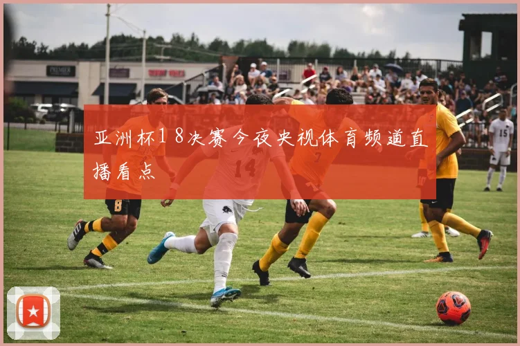 亚洲杯1 8决赛今夜央视体育频道直播看点