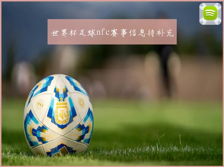 世界杯足球nfc赛事信息待补充