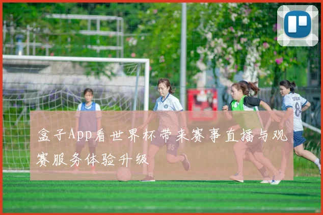 盒子App看世界杯带来赛事直播与观赛服务体验升级
